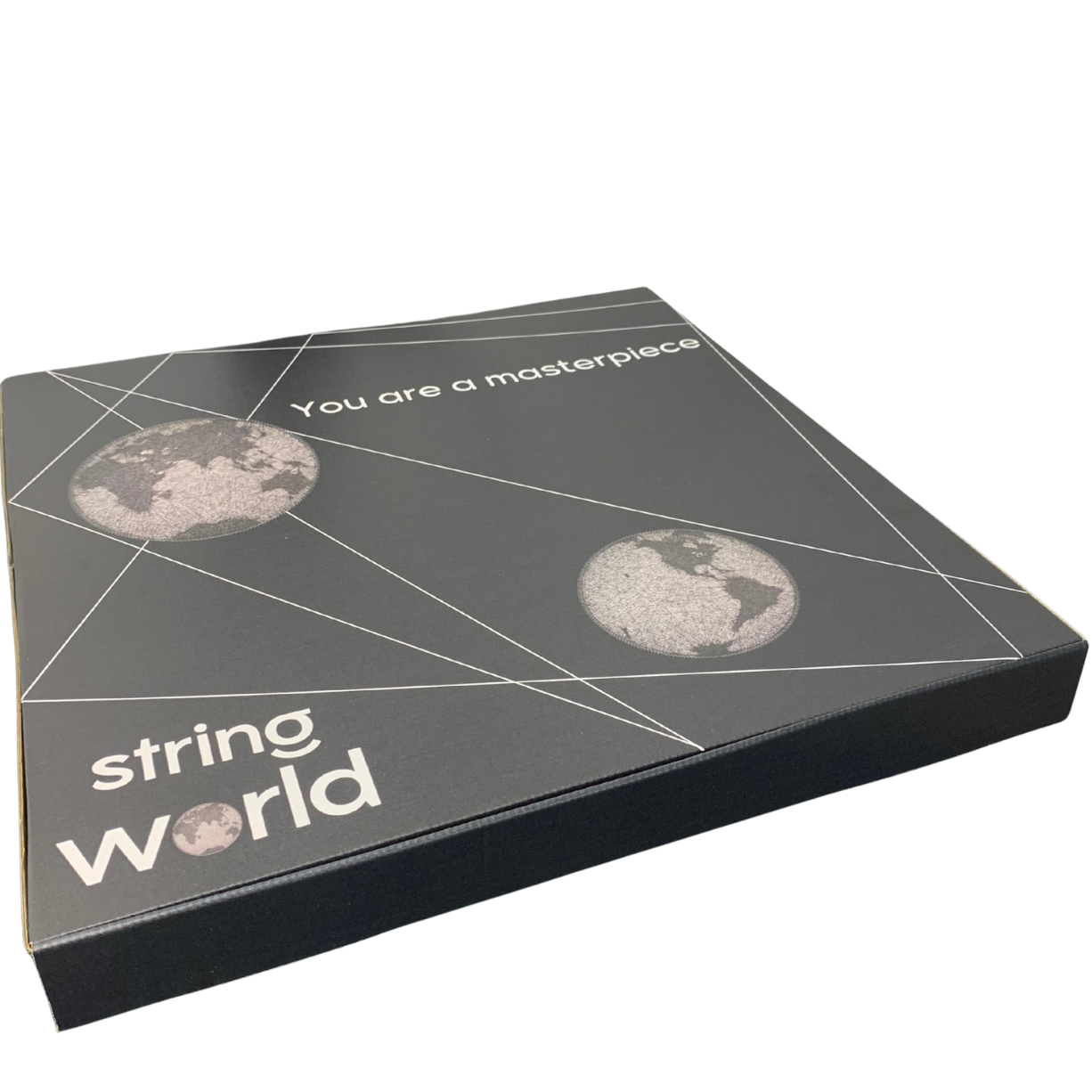 Custom String Art Portrait – Ready to Hang – Made From Your Photo