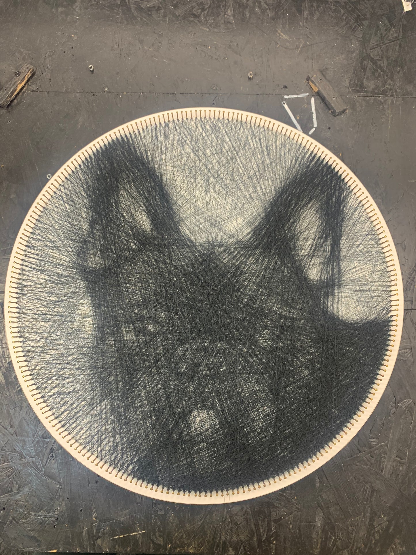 Pet Portrait from Photo | Ready to Hang | Personalised String Art