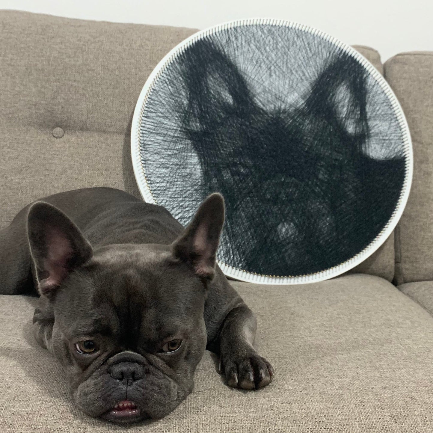 Pet Portrait from Photo | Ready to Hang | Personalised String Art